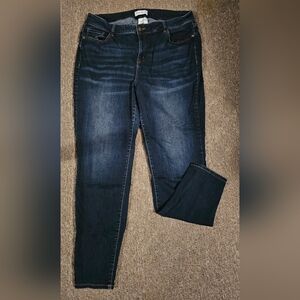 Lane Bryant Skinny Jean
